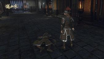 哪里能知道逆水寒最新爆料,揭秘最新爆料，游戏新篇章即将开启